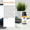 Tinh dầu Rain Forest