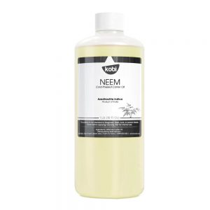 hat-sau-dau-neem-1