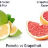 Hình 2: Bưởi Pomelo và Bưởi Grapefruit có sự khác biệt.