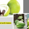 Hình 4. Tinh dầu vỏ bưởi mang đến trải nghiệm hương thơm độc đáo.