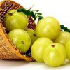 Hình 2 Dầu Amla được chiết xuất chủ yếu từ phần quả.