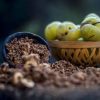 Hình 5. Dầu Amla được chiết xuất chủ yếu từ phần quả.