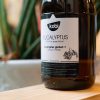 Tinh dau thien nhien, dau massage, tinh dau khuynh diep, eucalyptus essential oil