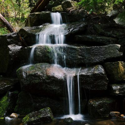 Jungle-Waterfall-Fragrance-Oil