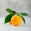 Yuzu Cybilla Fragrance Oil