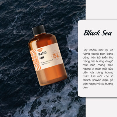 Black-Sea reed diffuser