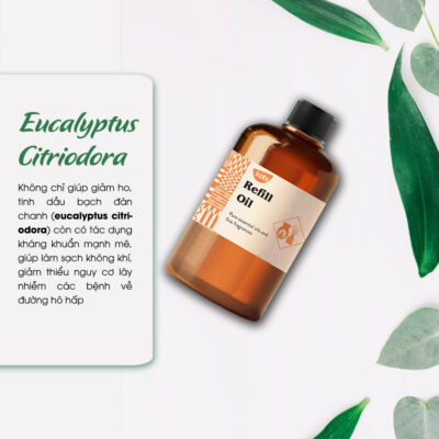 Eucalyptus-Citriodora reed diffuser